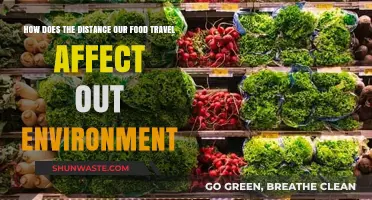 Food Miles Impact: How Distance Affects Our Environment and Sustainability