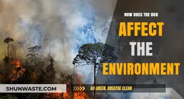 The DoD's Environmental Impact: Assessing Military Operations and Sustainability
