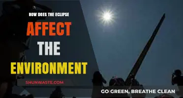 Eclipse Impact: Unveiling Environmental Changes During Celestial Shadow Events