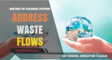 Ecological Footprint: Tracking Waste Flows for Sustainable Resource Management
