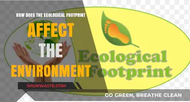 Ecological Footprint's Impact: Unraveling Environmental Consequences and Sustainability Challenges