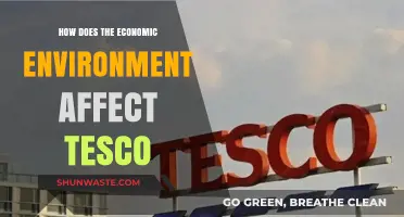 Economic Shifts: How External Factors Shape Tesco's Business Strategy