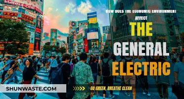 Economic Shifts: Impact on General Electric's Performance and Strategy