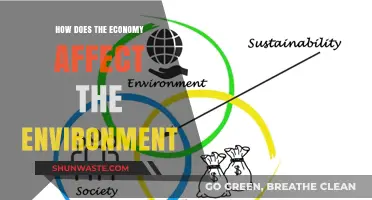Economic Growth vs. Environmental Impact: Balancing Progress and Sustainability