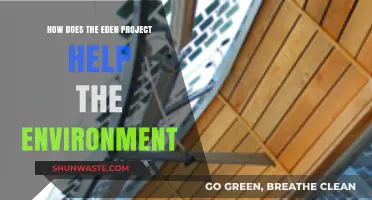 Eden Project's Green Impact: Sustainable Solutions for a Healthier Planet