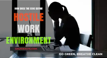 Understanding EEOC's Definition of a Hostile Work Environment