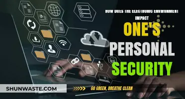Digital World Risks: How the Electronic Environment Threatens Personal Security