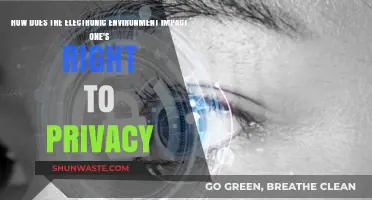 Digital Surveillance vs. Privacy Rights: Navigating the Electronic Environment