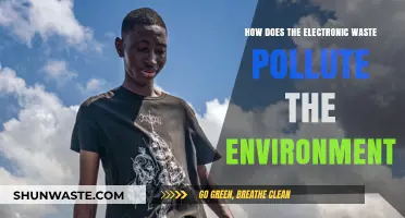 Electronic Waste: Environmental Impact and Pollution