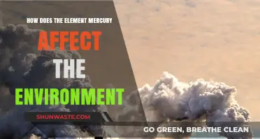 Mercury's Environmental Impact: Pollution, Poisoning, and Ecosystem Disruption Explained