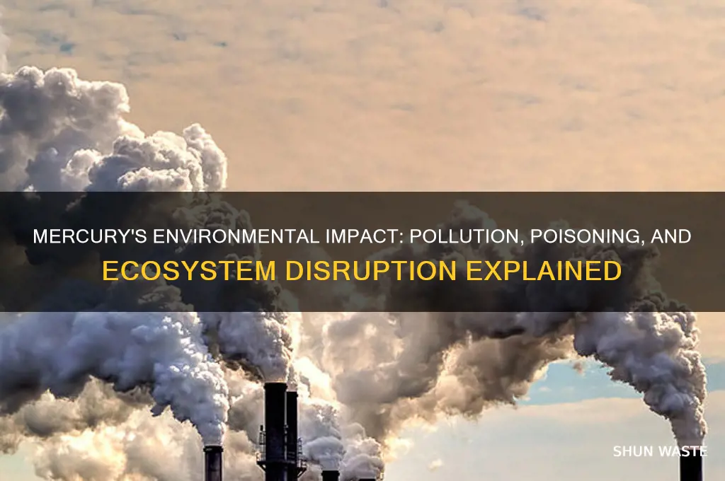 how does the element mercury affect the environment