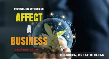 Environmental Impact on Business: Challenges, Opportunities, and Sustainable Strategies