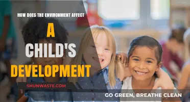 Environmental Influences on Child Development: Shaping Growth and Potential
