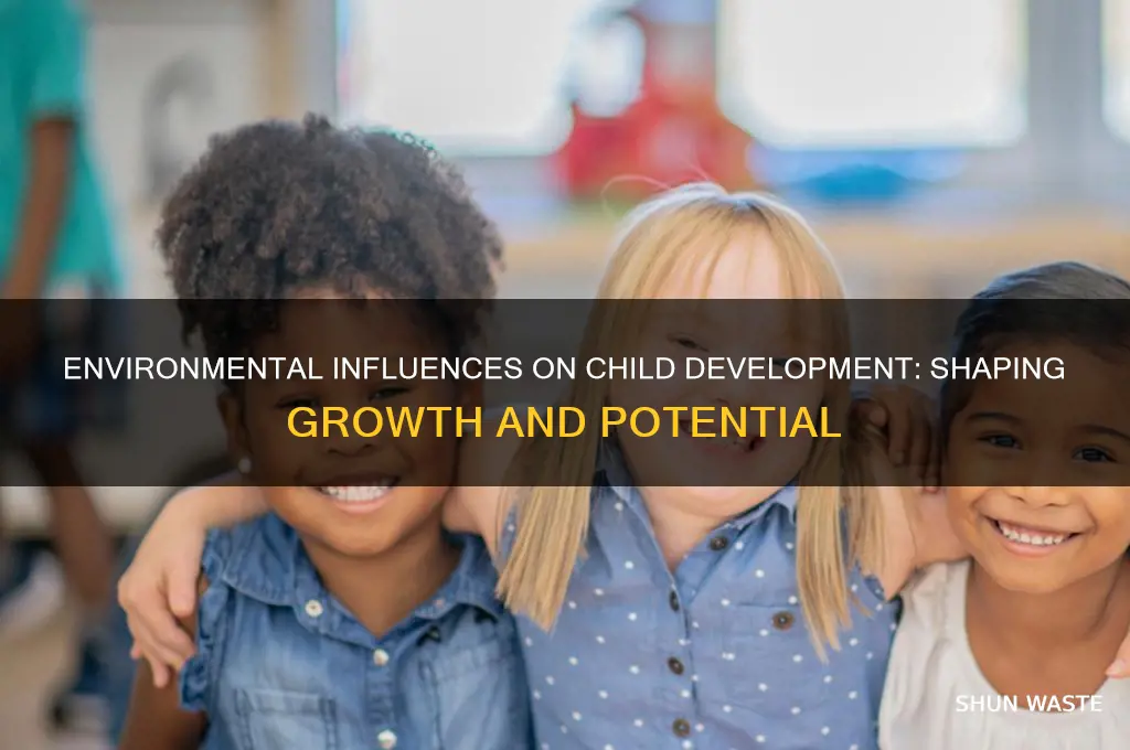 how does the environment affect a child
