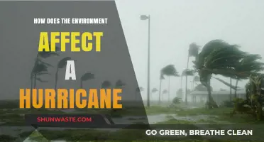 Environmental Factors Shaping Hurricane Intensity and Path: A Comprehensive Analysis