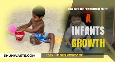 Environmental Factors Shaping Infant Growth: Insights and Impacts