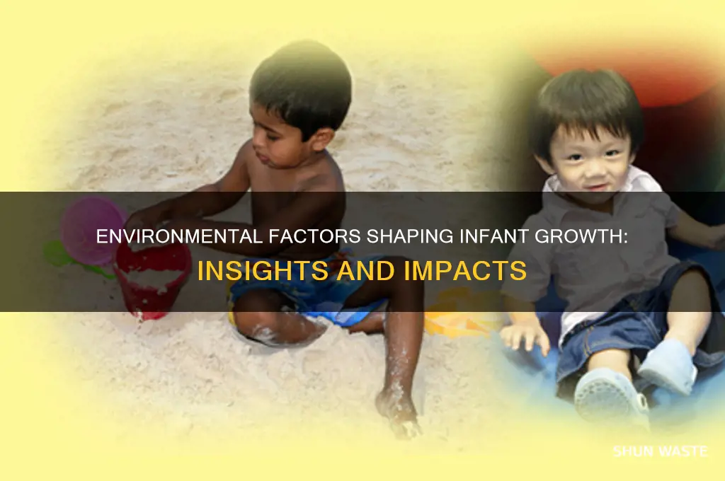 how does the environment affect a infants growth