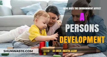 Environmental Influences: Shaping Personal Growth and Human Development