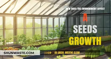 Environmental Factors Shaping Seed Growth: Soil, Climate, and Light Explained