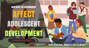 Environmental Influences on Adolescent Growth: Shaping Minds and Futures