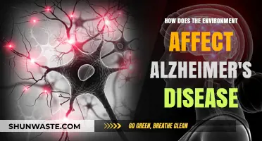 Environmental Factors and Alzheimer's: Unraveling the Complex Connection