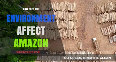 Environmental Impacts on Amazon: Climate, Deforestation, and Sustainability Challenges