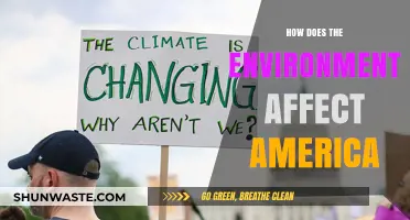 Environmental Impacts on America: Climate, Health, Economy, and Policy Shifts
