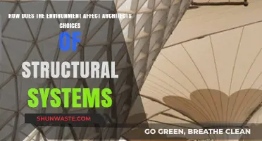 Environmental Factors Shaping Architects' Structural System Decisions and Innovations