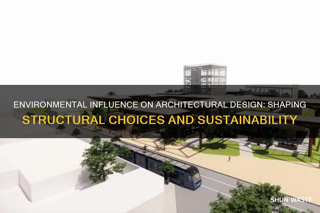how does the environment affect architecture choices of structure