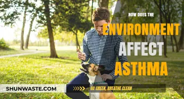 Environmental Triggers: Uncovering How Surroundings Impact Asthma Symptoms and Severity