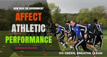Environmental Factors Shaping Athletic Performance: Insights and Strategies