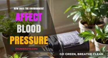 Environmental Factors and Their Impact on Blood Pressure Levels