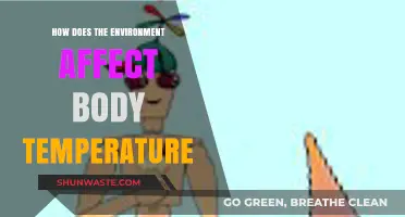 Environmental Factors and Their Impact on Human Body Temperature Regulation