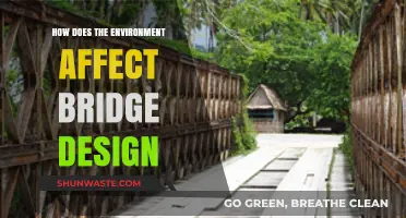 Environmental Factors Shaping Bridge Design: Challenges and Innovations