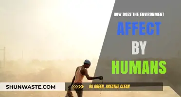 Human Impact on Nature: Exploring Our Environmental Footprint and Consequences