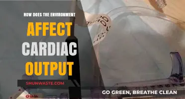 Environmental Factors Impacting Cardiac Output: Understanding the Heart-Nature Connection