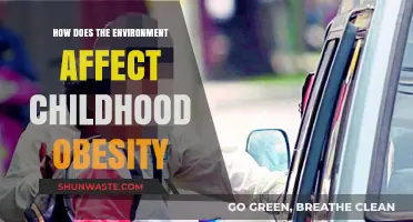Environmental Factors Shaping Childhood Obesity: Causes, Impacts, and Solutions