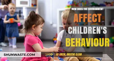 Environmental Influences on Children's Behavior: Understanding the Impact