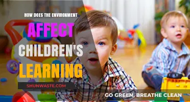 Environmental Influences on Children's Learning: Shaping Young Minds