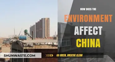 China's Environmental Challenges: Impacts, Policies, and Sustainable Solutions
