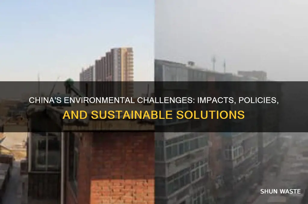 how does the environment affect china
