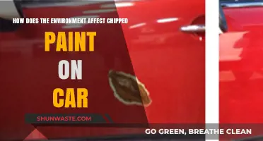 Environmental Factors Accelerating Car Paint Chipping: Causes and Prevention