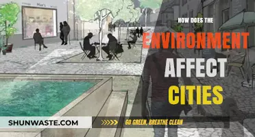 Urban Ecosystems: How Environmental Factors Shape City Life and Development