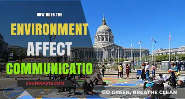 Environmental Influences on Communication: Shaping Interactions and Connections