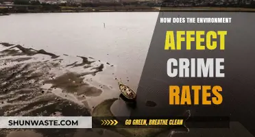 Environmental Factors and Crime: Exploring the Impact on Offense Rates