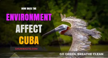 Cuba's Environmental Impact: Climate, Biodiversity, and Sustainable Challenges