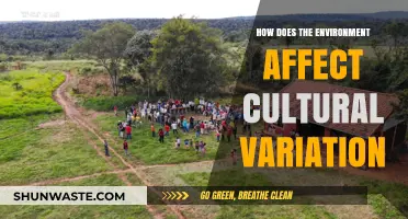 Environmental Influences on Cultural Diversity: Shaping Traditions and Identities