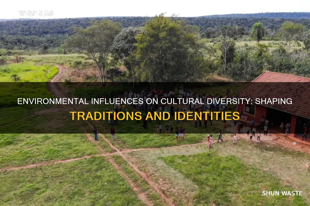 how does the environment affect cultural variation
