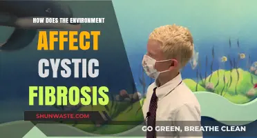Environmental Factors and Their Impact on Cystic Fibrosis Symptoms