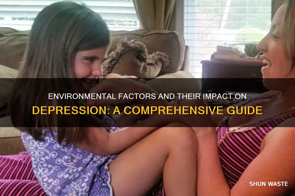 how does the environment affect depression
